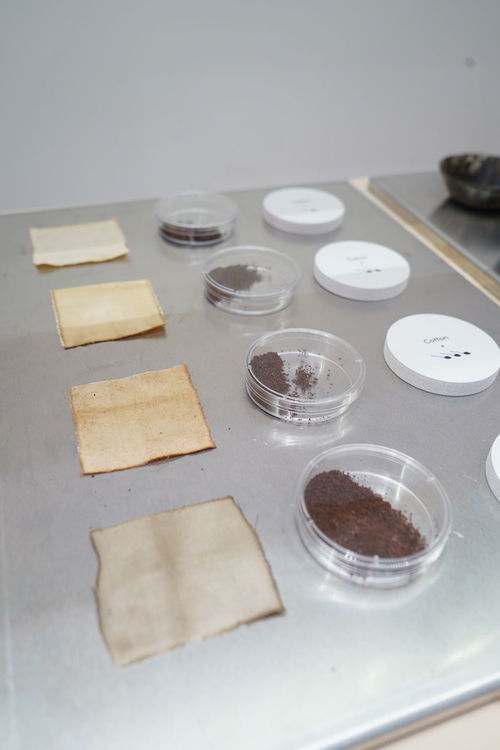 提高環(huán)保意識不只靠走塑 9件你意想不到的環(huán)保再生產品